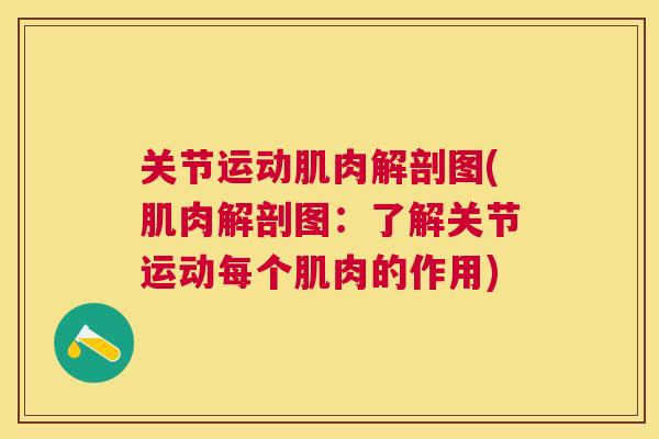 关节运动肌肉解剖图(肌肉解剖图:了解关节运动每个肌肉的作用) 关节运动肌肉解剖图(肌肉解剖图:了解关节运动每个肌肉的作用)