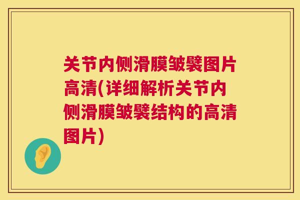 关节内侧滑膜皱襞图片高清(详细解析关节内侧滑膜皱襞结构的高清图片)