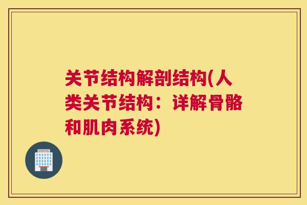 关节结构解剖结构(人类关节结构：详解骨骼和肌肉系统)