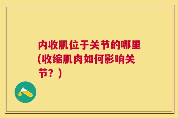内收肌位于关节的哪里(收缩肌肉如何影响关节?)
