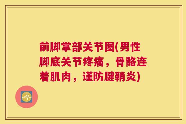 前脚掌部关节图(男性脚底关节,骨骼连着肌肉,谨防腱鞘炎) 前脚掌部关节图(男性脚底关节,骨骼连着肌肉,谨防腱鞘炎)