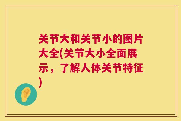 关节大和关节小的图片大全(关节大小全面展示,了解人体关节特征) 关节大和关节小的图片大全(关节大小全面展示,了解人体关节特征)