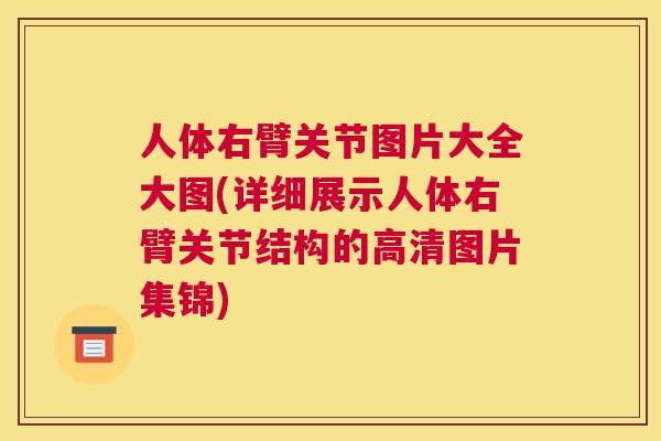 人体右臂关节图片大全大图(详细展示人体右臂关节结构的高清图片集锦)