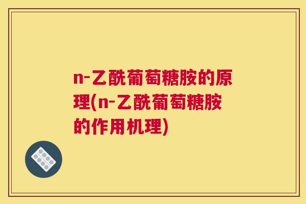 n-乙酰葡萄糖胺的原理(n-乙酰葡萄糖胺的作用机理)