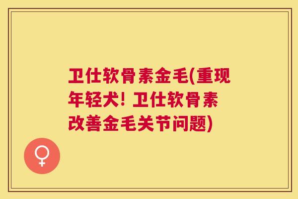卫仕软骨素金毛(重现年轻犬! 卫仕软骨素改善金毛关节问题) 卫仕软骨素金毛(重现年轻犬! 卫仕软骨素改善金毛关节问题)