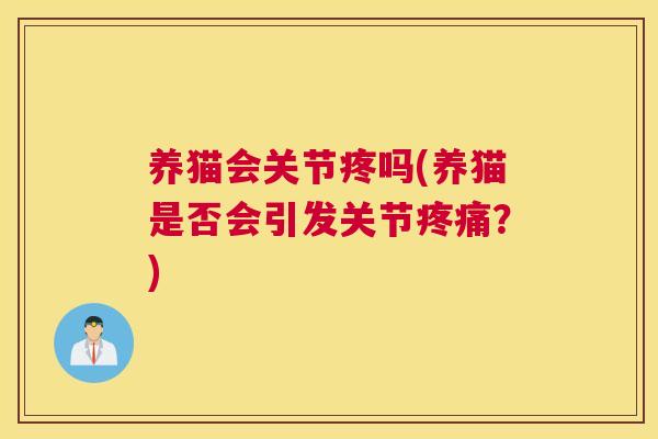 养猫会关节疼吗(养猫是否会引发关节疼痛?)