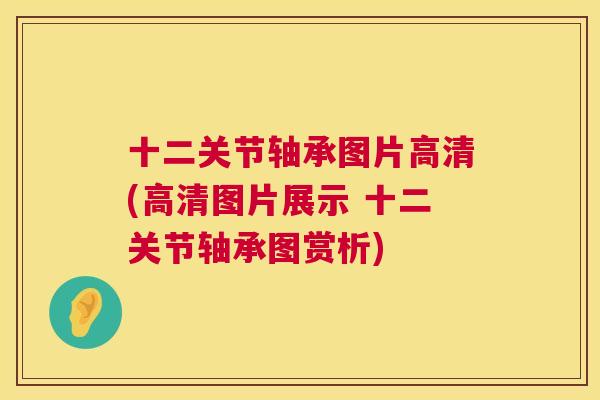 十二关节轴承图片高清(高清图片展示 十二关节轴承图赏析)