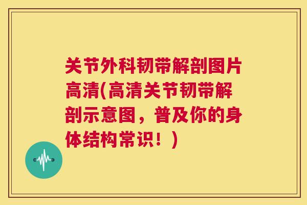 关节外科韧带解剖图片高清(高清关节韧带解剖示意图,普及你的身体结构常识!)