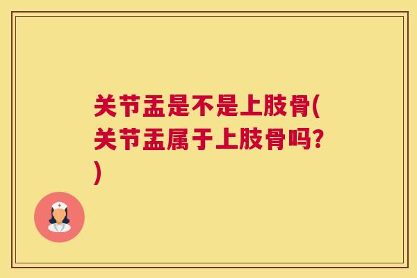 关节盂是不是上肢骨(关节盂属于上肢骨吗?)