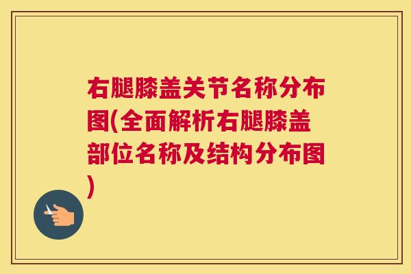 右腿膝盖关节名称分布图(全面解析右腿膝盖部位名称及结构分布图)