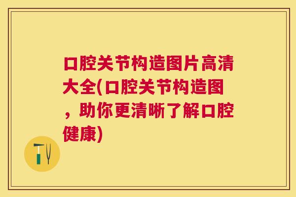 口腔关节构造图片高清大全(口腔关节构造图，助你更清晰了解口腔健康)