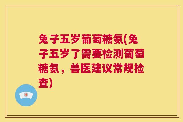 兔子五岁葡萄糖氨(兔子五岁了需要检测葡萄糖氨,兽医建议常规检查) 兔子五岁葡萄糖氨(兔子五岁了需要检测葡萄糖氨,兽医建议常规检查)
