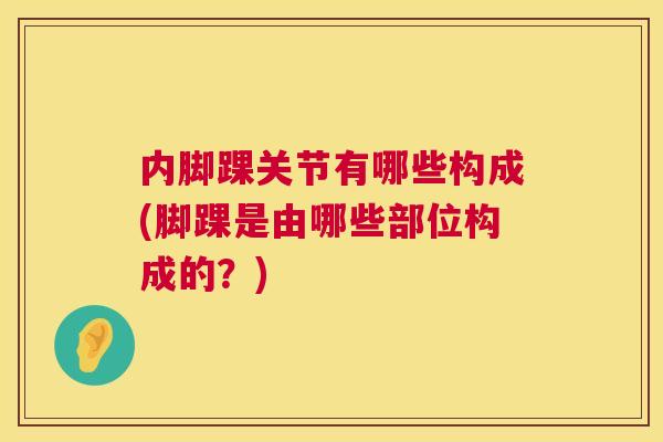内脚踝关节有哪些构成(脚踝是由哪些部位构成的?)