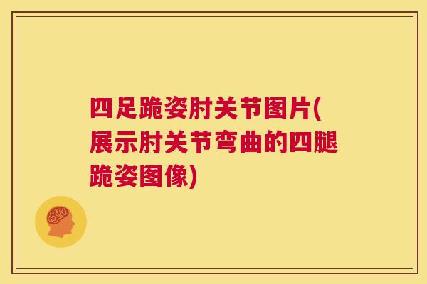 四足跪姿肘关节图片(展示肘关节弯曲的四腿跪姿图像)