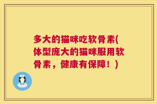 多大的猫咪吃软骨素(体型庞大的猫咪服用软骨素,健康有保障!) 多大的猫咪吃软骨素(体型庞大的猫咪服用软骨素,健康有保障!)