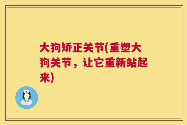 大狗矫正关节(重塑大狗关节，让它重新站起来)