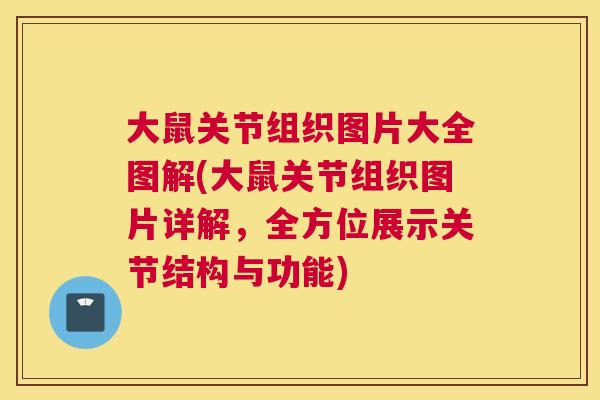 大鼠关节组织图片大全图解(大鼠关节组织图片详解，全方位展示关节结构与功能)