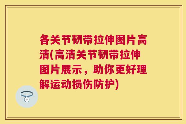 各关节韧带拉伸图片高清(高清关节韧带拉伸图片展示,助你更好理解运动损伤防护)