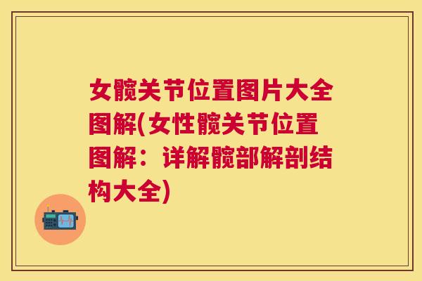 女髋关节位置图片大全图解(女性髋关节位置图解：详解髋部解剖结构大全)