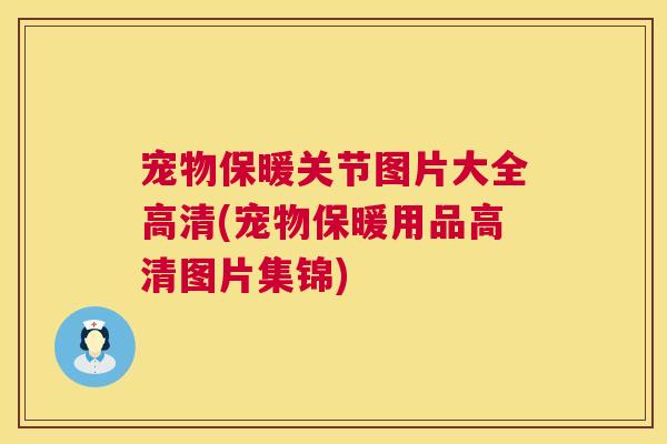 宠物保暖关节图片大全高清(宠物保暖用品高清图片集锦)