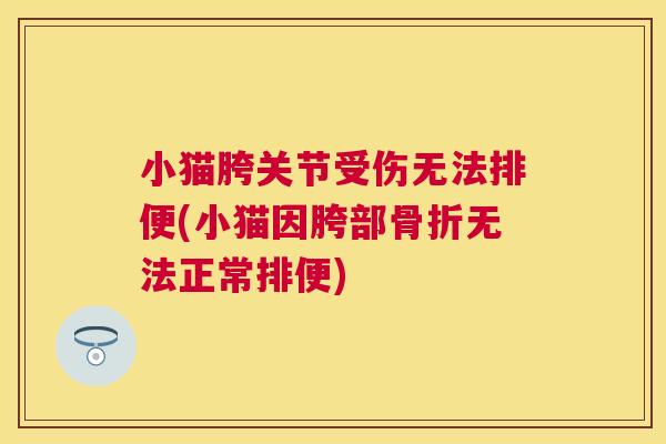 小猫胯关节受伤无法排便(小猫因胯部无法正常排便) 小猫胯关节受伤无法排便(小猫因胯部无法正常排便)