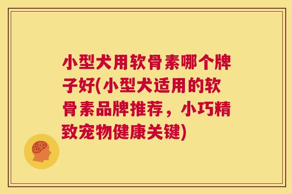 小型犬用软骨素哪个牌子好(小型犬适用的软骨素品牌推荐,小巧精致宠物健康关键)