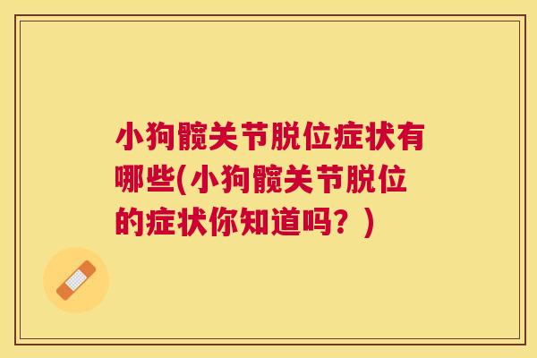 小狗髋关节脱位症状有哪些(小狗髋关节脱位的症状你知道吗?)
