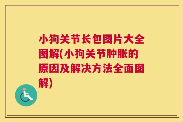 小狗关节长包图片大全图解(小狗关节的原因及解决方法全面图解)