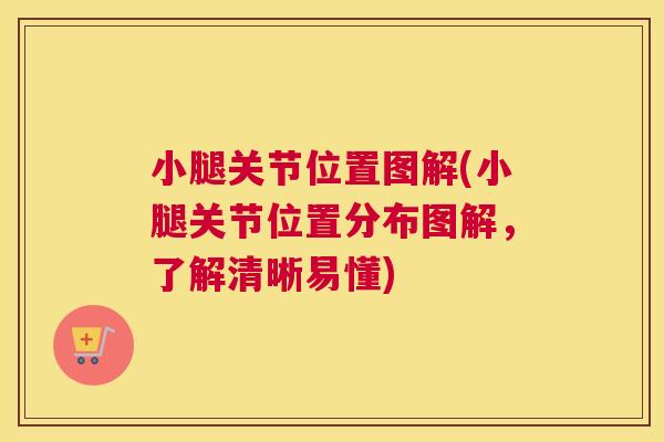小腿关节位置图解(小腿关节位置分布图解，了解清晰易懂)