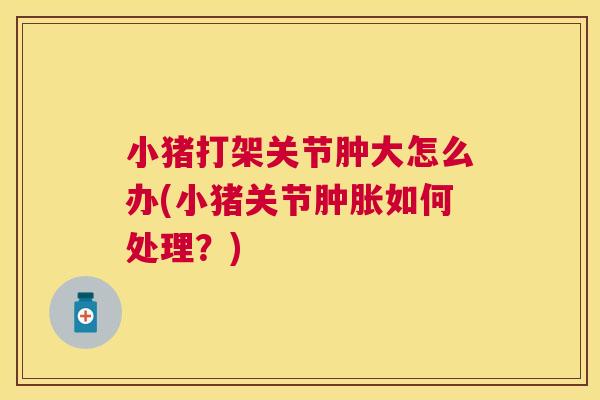 小猪打架关节肿大怎么办(小猪关节如何处理？)