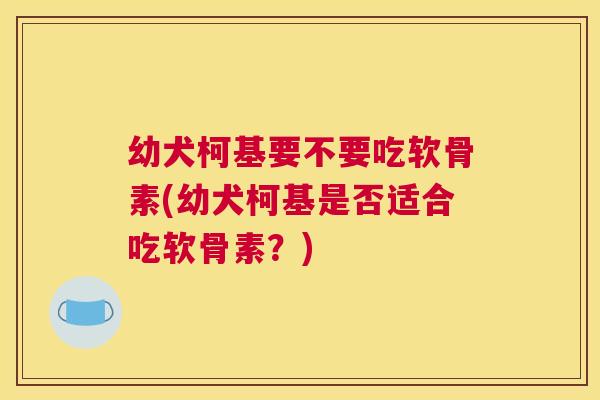幼犬柯基要不要吃软骨素(幼犬柯基是否适合吃软骨素?)