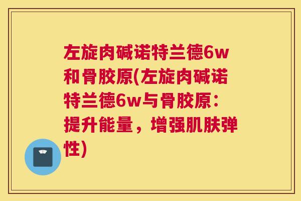 左旋肉碱诺特兰德6w和骨胶原(左旋肉碱诺特兰德6w与骨胶原:提升能量,增强肌肤弹性)