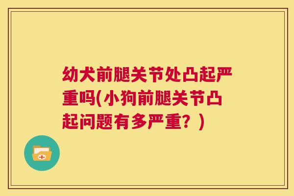 幼犬前腿关节处凸起严重吗(小狗前腿关节凸起问题有多严重？)
