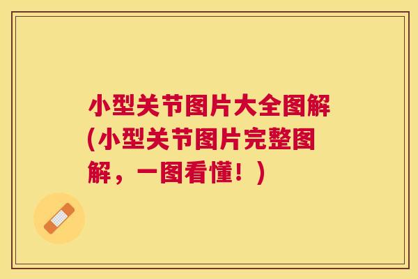 小型关节图片大全图解(小型关节图片完整图解,一图看懂!)