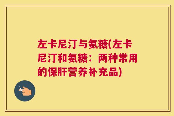 左卡尼汀与氨糖(左卡尼汀和氨糖:两种常用的营养补充品) 左卡尼汀与氨糖(左卡尼汀和氨糖:两种常用的营养补充品)