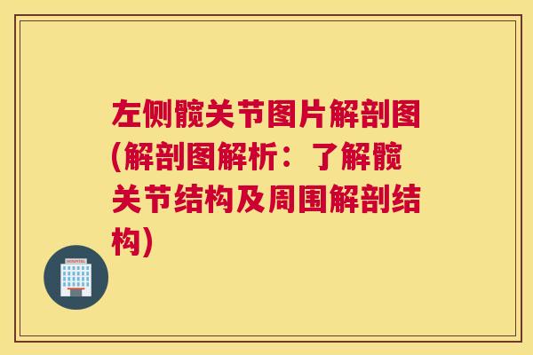 左侧髋关节图片解剖图(解剖图解析:了解髋关节结构及周围解剖结构) 左侧髋关节图片解剖图(解剖图解析:了解髋关节结构及周围解剖结构)