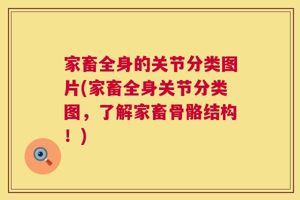 家畜全身的关节分类图片(家畜全身关节分类图,了解家畜骨骼结构!) 家畜全身的关节分类图片(家畜全身关节分类图,了解家畜骨骼结构!)
