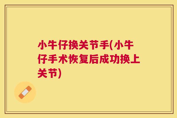 小牛仔换关节手(小牛仔手术恢复后成功换上关节)