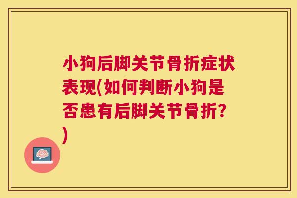 小狗后脚关节骨折症状表现(如何判断小狗是否患有后脚关节骨折?)