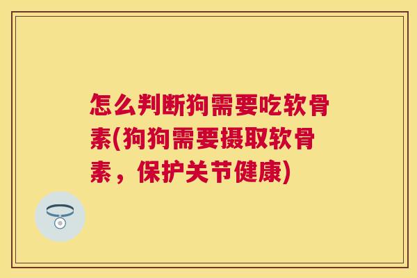 怎么判断狗需要吃软骨素(狗狗需要摄取软骨素,保护关节健康)