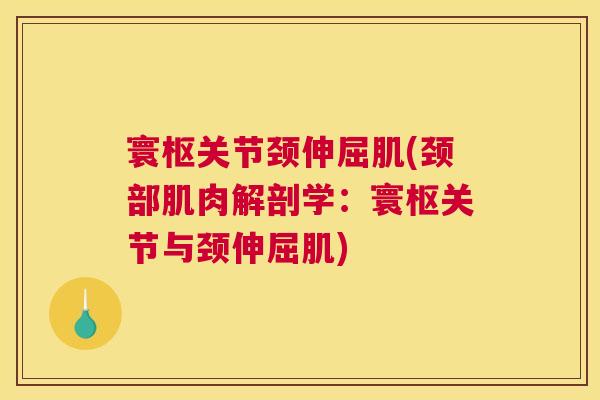 寰枢关节颈伸屈肌(颈部肌肉解剖学：寰枢关节与颈伸屈肌)