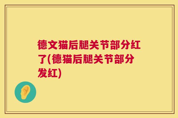 德文猫后腿关节部分红了(德猫后腿关节部分发红) 德文猫后腿关节部分红了(德猫后腿关节部分发红)