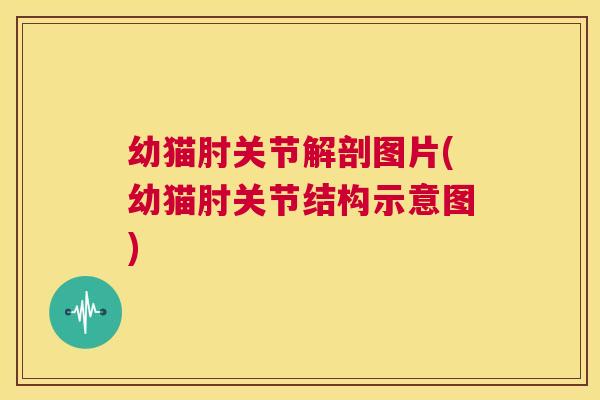 幼猫肘关节解剖图片(幼猫肘关节结构示意图)