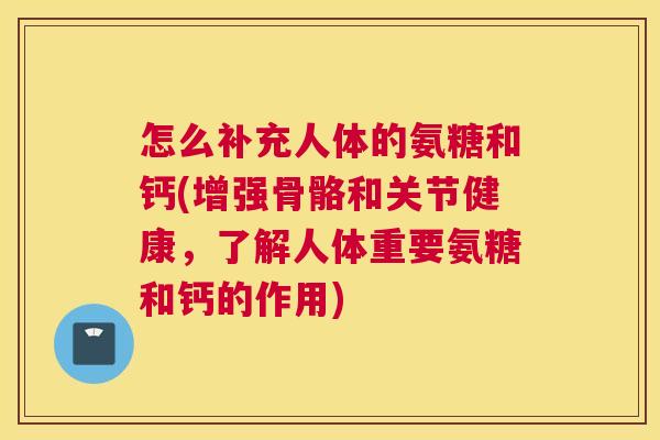 怎么补充人体的氨糖和钙(增强骨骼和关节健康，了解人体重要氨糖和钙的作用)