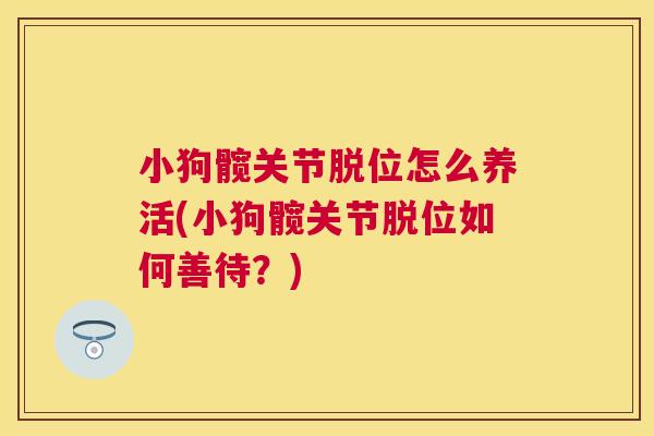 小狗髋关节脱位怎么养活(小狗髋关节脱位如何善待？)