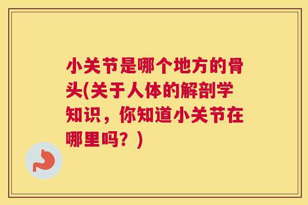小关节是哪个地方的骨头(关于人体的解剖学知识，你知道小关节在哪里吗？)