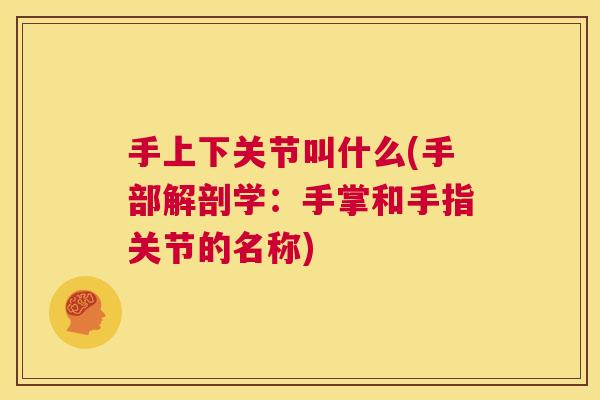 手上下关节叫什么(手部解剖学:手掌和手指关节的名称)