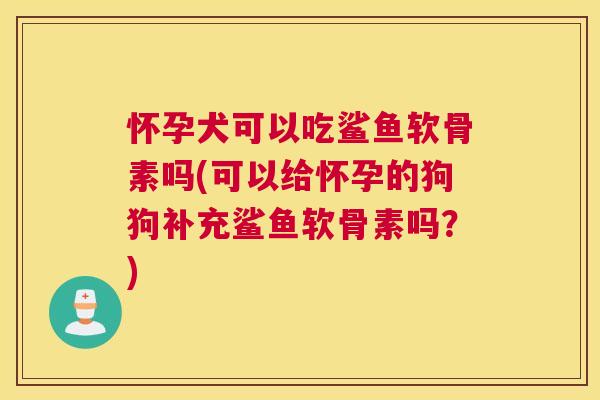 怀孕犬可以吃鲨鱼软骨素吗(可以给怀孕的狗狗补充鲨鱼软骨素吗？)