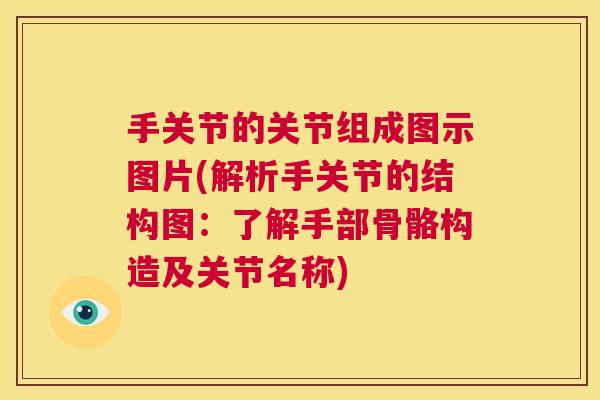 手关节的关节组成图示图片(解析手关节的结构图:了解手部骨骼构造及关节名称)