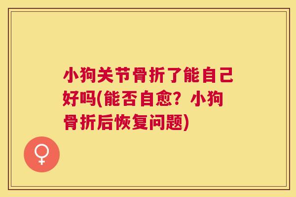 小狗关节骨折了能自己好吗(能否自愈？小狗骨折后恢复问题)